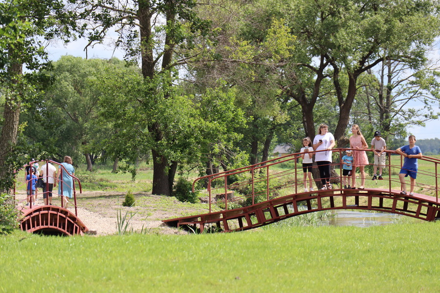 Социальные объекты